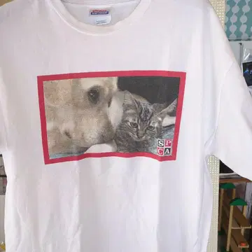 Hanes 개와 고양이 프린트 티셔츠 L 사이즈
