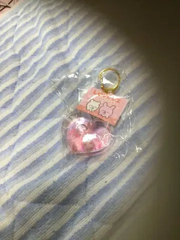 라부이즈 키링