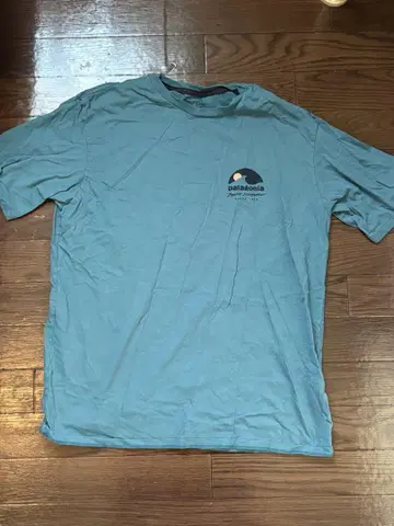 Patagonia 티셔츠 파타고니아