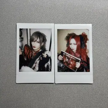Royz 폴라로이드 스바루 씨 코우다이 씨