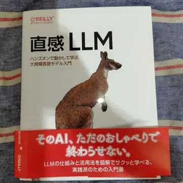 직관적 LLM: 실습을 통해 배우는 대규모 언어 모델 입문