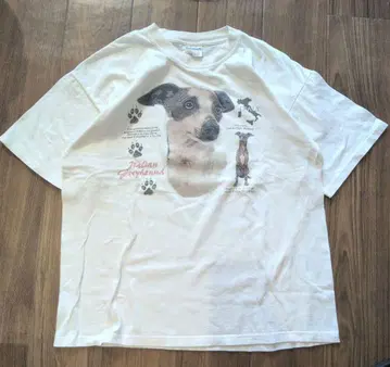 00년대 그레이하운드 티셔츠 길단 GILDAN 개