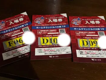 홈 타운 도르파 오사카 10 입장권만