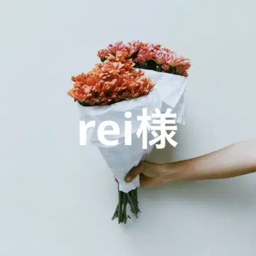 레이님