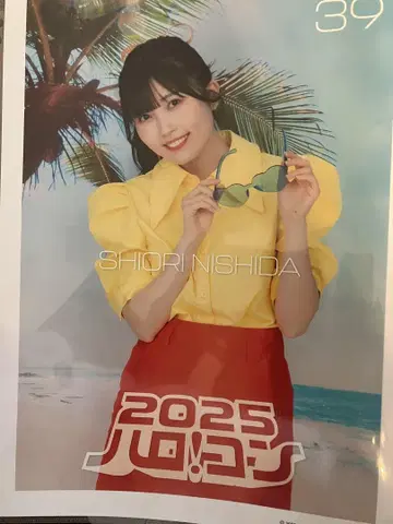 할로콘 핑포스 니시다
