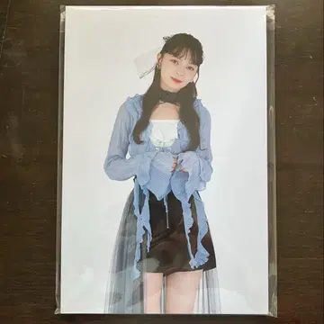 안주루무 카미코쿠료 모에 타워 레코드 패널