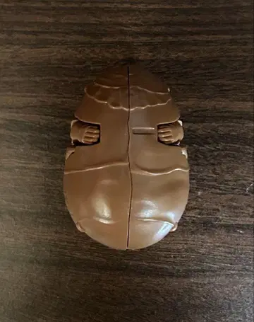 울트라 에그 카네곤