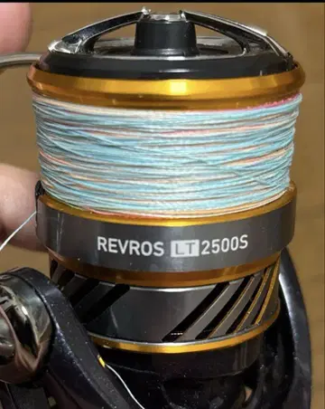 다이와 레브로스 LT 2500S