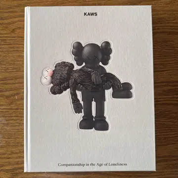 KAWS 동반자 관계: 고독의 시대에