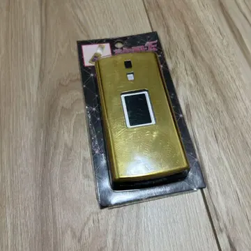 꽃보다 남자 거울