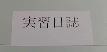 실습 일지 정신보건복지사 양성
