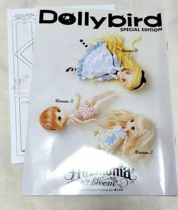 Harmonia Bloom 책자, 패턴 포함
