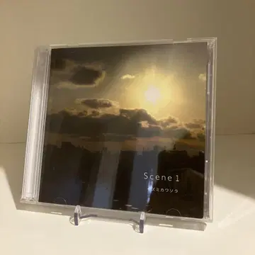 이즈미카와 소라 / SCENE 1 물감