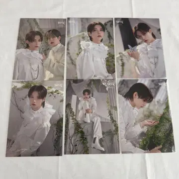 14 StrayKids 랜트 필릭스