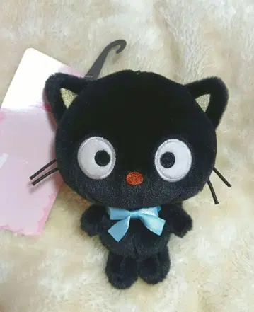 산리오 초코캣 블랙 검은 고양이 아베일