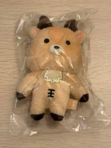 RIIZE 10cm 봉제 인형 키링 성찬 우라밤
