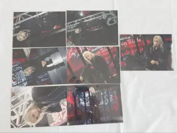 25 StrayKids 랜트 필릭스
