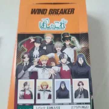 윈드브레이커 팜파레 box