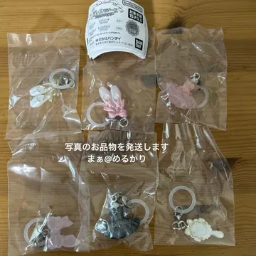 발레 모티브 참 메지루시 액세서리 컴플리트 컴프