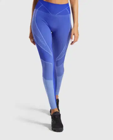 Gymshark 레깅스