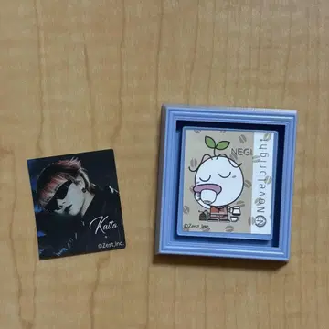 Novelbright 빗쿠라타마고 네기군 카이토군