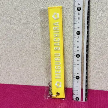 블루 록 하치라쿠 캠페인 참 키링