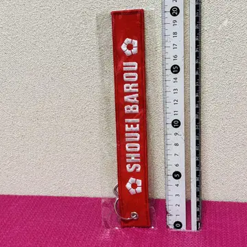 블루 록 마오 테루히데 캠페인 참 키링