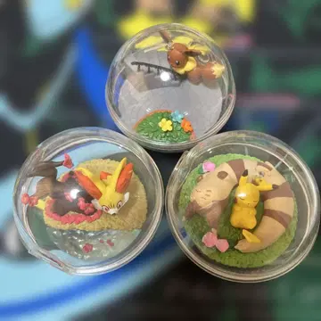 포켓몬 리멘트 테라리움 컬렉션 3개 세트