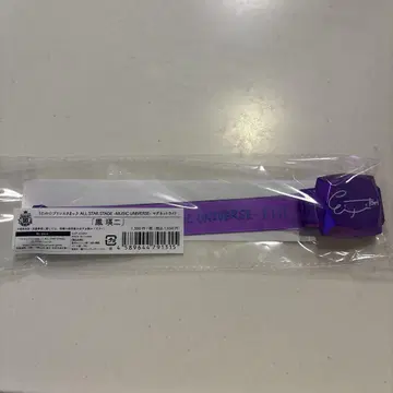 assmu 호에이 지 마그넷 라이트