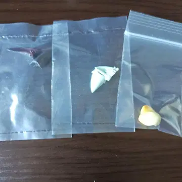 시칠리아의 추억 귀 부품 마르첼로 루치아노 페데리코 3개 세트