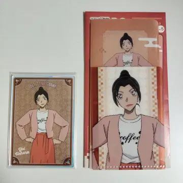 명탐정 코난 오로라 아크릴 카드 미니 파일 우에하라