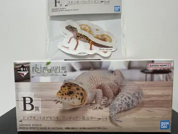 파충류&양서류 제일복권 B상 레오파드 도마뱀