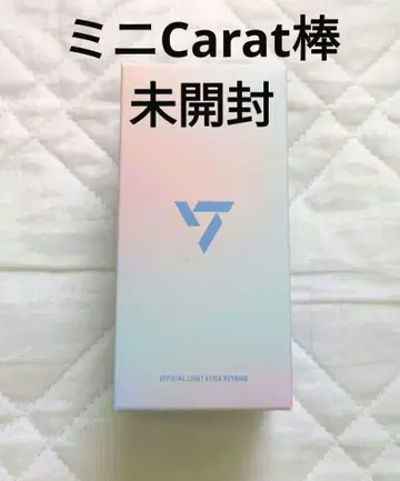 SEVENTEEN 미니 Carat 막대 키링