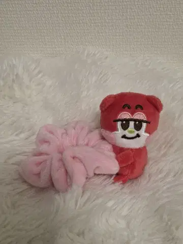 RIIZE 스크런치 쇼타로 리즈코