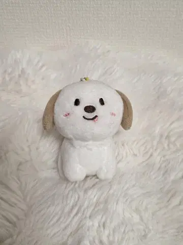 RIIZE 앤톤 몽리영 봉제 인형