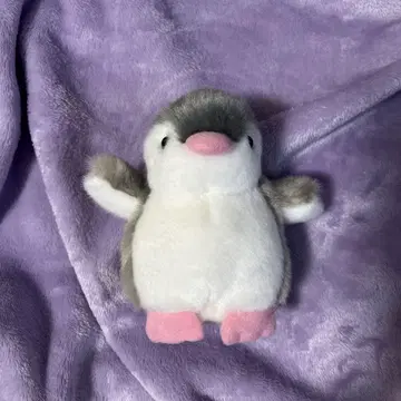 펭귄 봉제 인형