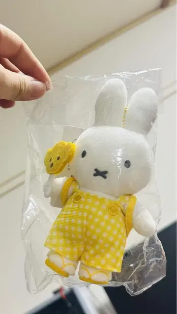 미피 자카 페스타