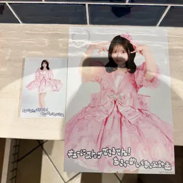 사쿠라바 하야카 포스터 브로마이드 타워 레코드 한정판