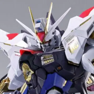 스트라이크 프리덤 METAL BUILD FESTIVAL 2024
