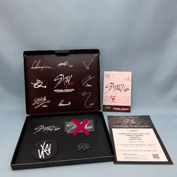 StrayKids 컴팩트 거울/핀 배지/시크릿 카드 세트