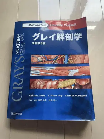 그레이 해부학 제3판
