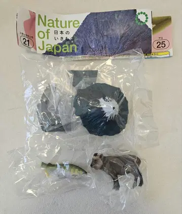 이키몬 일본 생물 가챠가챠