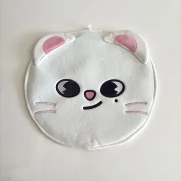 straykids 지니 레트 부채 케이스