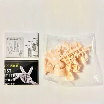 코토부키야 핸드 모델 1/2 페일 오렌지 스킨 컬러