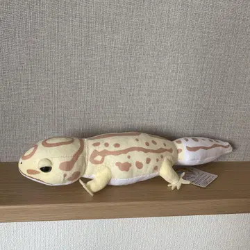 레오파의 키이짱 나카요시 ST 봉제 인형 레짱