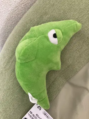 포켓몬 트랜셀