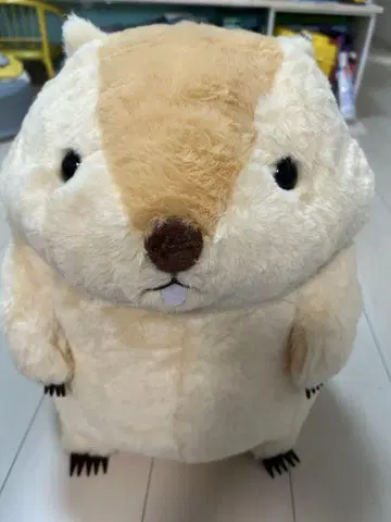 마모트의 모토토 울트라 BIG