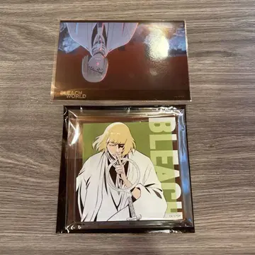BLEACH WORLD 히라코 마코 아크릴 코스터 브로마이드