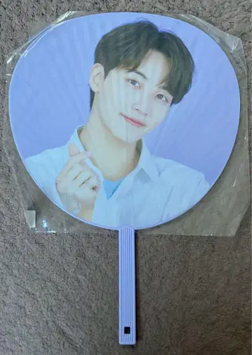 SEVENTEEN 정한 부채 2020 JAPAN DOME TOUR