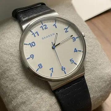 SKAGEN 손목시계 SKW6162